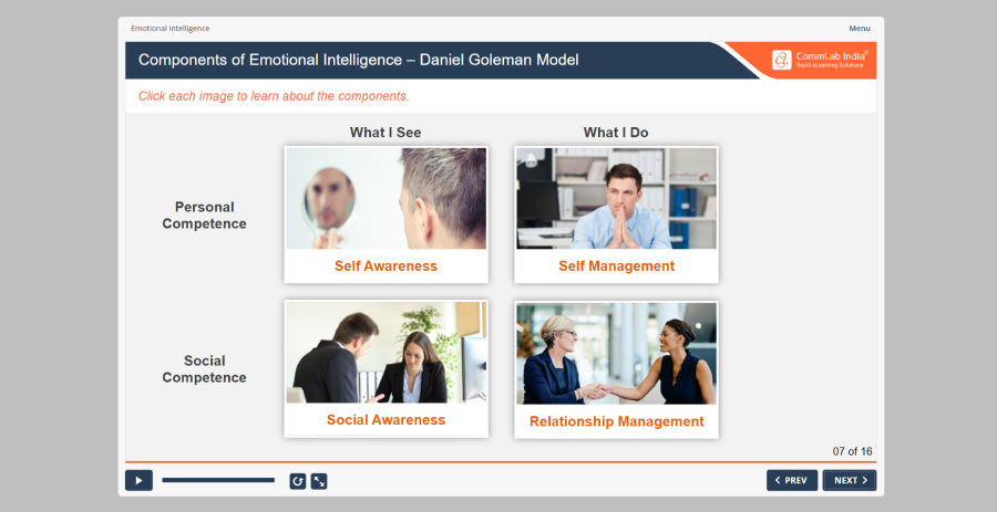 Emotional Intelligence